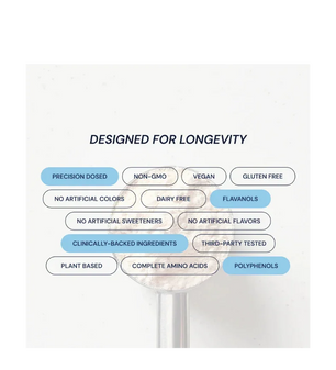 Buy Blueprint Longevity Protein Chocolate at LiveHelfi